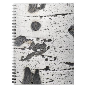 Carnet Photographie de plan rapproché d'écorce de