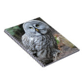 Carnet Photographie de portrait de hibou (Côté Droit)
