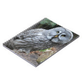 Carnet Photographie de portrait de hibou (Côté gauche)