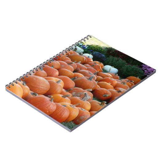 Carnet Photographie de récolte d'automne des citrouilles (Côté gauche)