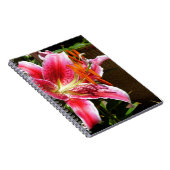 Carnet Photographie de Stargazer Lily (Côté Droit)