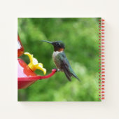 Carnet Photographie d'oiseau de colibri à gorge rubis (Dos)