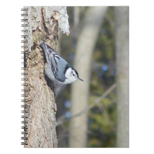 Carnet Photographie d'oiseau gris