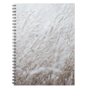Carnet Photographie du terrain de pelouse blanche
