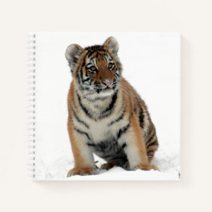 Carnet Photographie d'un bébé tigre dans la neige