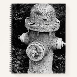 Carnet Photographie d'une vieille borne d'incendie usée e