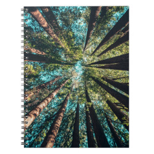 Carnet Photographie en angle bas des arbres en journée