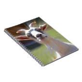 Carnet Photographie idiote de BillyGoat (Côté Droit)