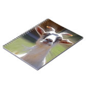 Carnet Photographie idiote de BillyGoat (Côté gauche)