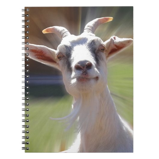Carnet Photographie idiote de BillyGoat (Devant)