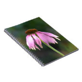 Carnet Photographie rose Echinacea Fleur (Côté Droit)