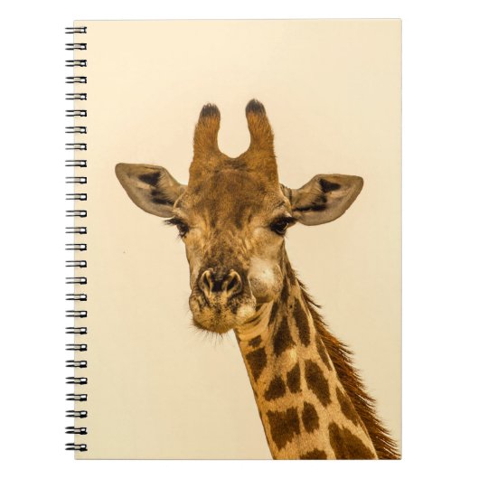 CARNET PHOTOGRAPHIE SÉLECTIVE DE GIRAFFE (Devant)