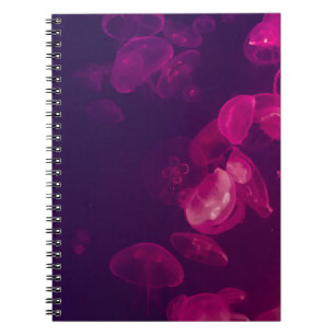 CARNET PHOTOGRAPHIE SOUS-MARINE DE JELLYFISH