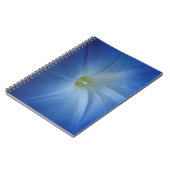 Carnet Photos de Fleur de Matin Bleu Céleste (Côté gauche)