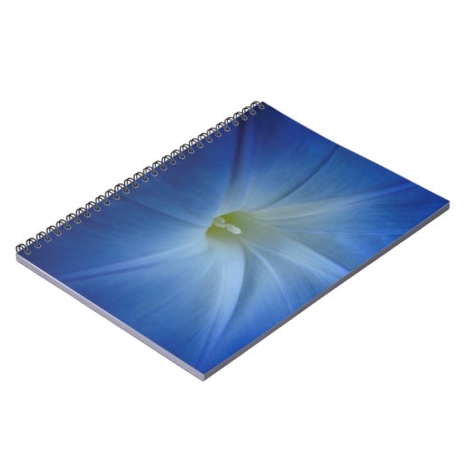 Carnet Photos de Fleur de Matin Bleu Céleste (Côté gauche)