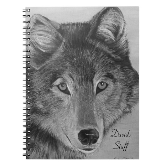 Carnet photos de la faune loups loups gris loup (Devant)