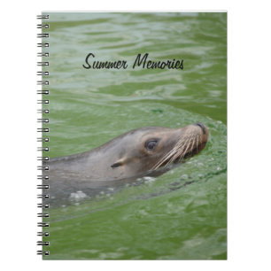 Carnet Photos de Sea Lion Summer