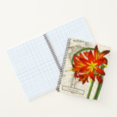 Carnet Phycella Fulgens (Intérieur)