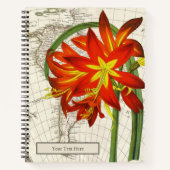 Carnet Phycella Fulgens (Devant)