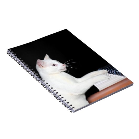 Carnet Piano-jeu chat (Côté Droit)