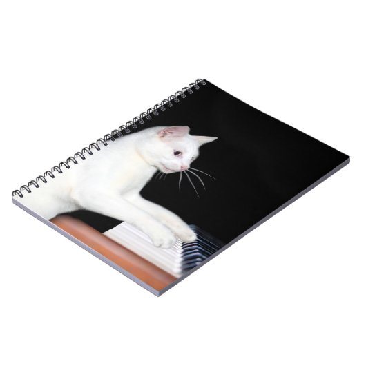 Carnet Piano-jeu chat (Côté gauche)