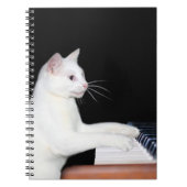 Carnet Piano-jeu chat (Devant)