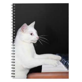 Carnet Piano-jeu chat