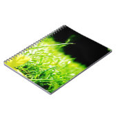 Carnet piaulement (Côté gauche)