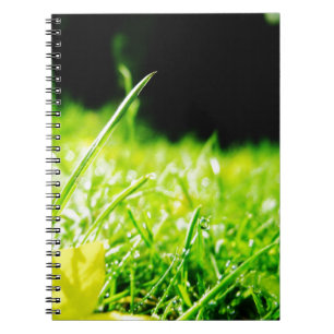 Carnet piaulement
