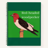 Carnet Pic à tête rouge (Devant)