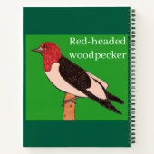 Carnet Pic à tête rouge (Dos)