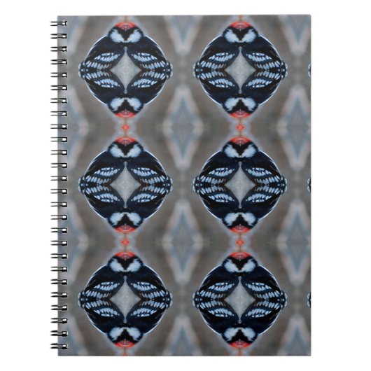 Carnet Pic Downy mâle breveté (Devant)