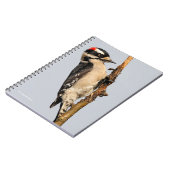 Carnet Pic Downy mou sur arbre aux fruits (Côté gauche)