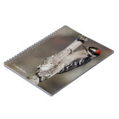 Carnet Pic mou Downy sur l'arbre (Côté gauche)