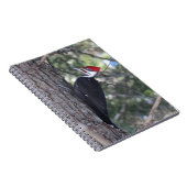 Carnet Pic pilé (Côté Droit)