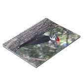 Carnet Pic pilé (Côté gauche)