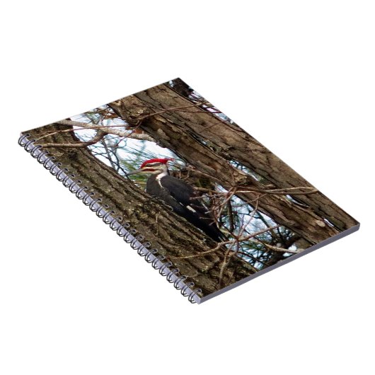 Carnet Pic pilé (Côté Droit)