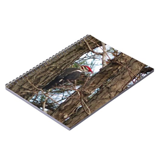 Carnet Pic pilé (Côté gauche)