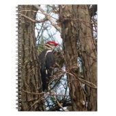 Carnet Pic pilé (Devant)