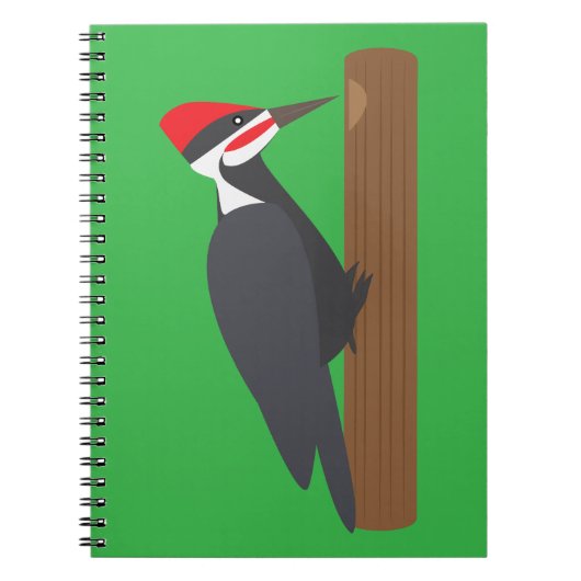 Carnet Pic vert (Devant)