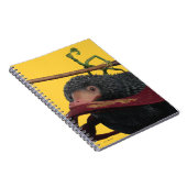 Carnet Pickett & Teddy With Wand and Tie (Côté Droit)