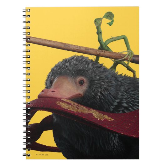 Carnet Pickett & Teddy With Wand and Tie (Devant)
