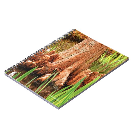 Carnet Pieds Baldaquin Cypress (Côté gauche)