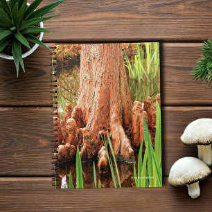 Carnet Pieds Baldaquin Cypress