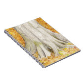 Carnet Pieds de hêtre (Côté Droit)