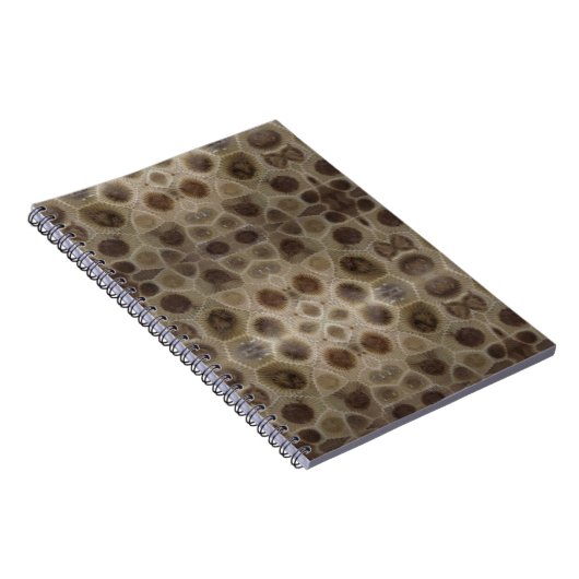 Carnet Pierre de Petoskey (Côté Droit)