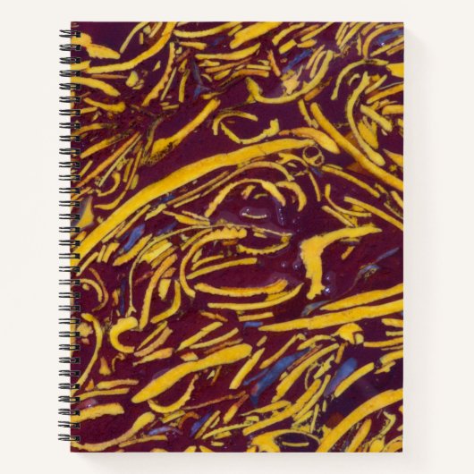 Carnet Pierre de script (Devant)