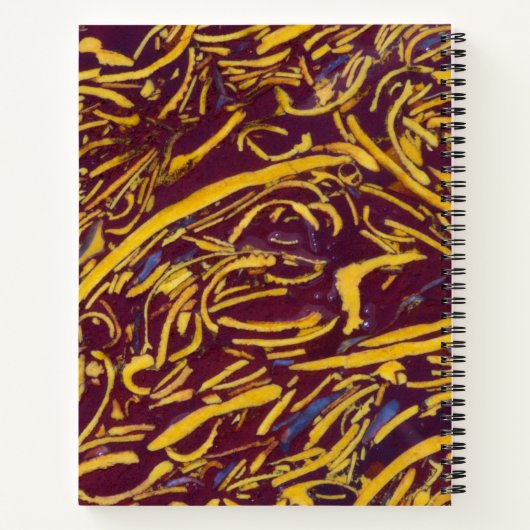 Carnet Pierre de script (Dos)
