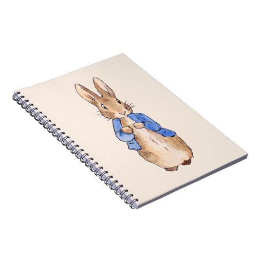 Carnet Pierre le lapin (Côté Droit)