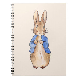 Carnet Pierre le lapin